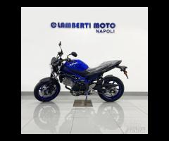 Suzuki SV 650 MY25 - 2025