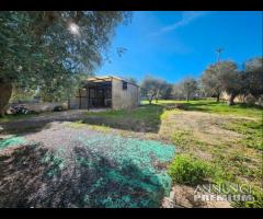 Villa in contrada Saponaro - 14