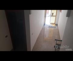 Castelvetrano intero stabile con 2 app + garage - 11