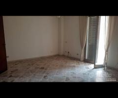 Castelvetrano intero stabile con 2 app + garage - 15