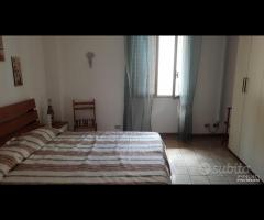 Castelvetrano intero stabile con 2 app + garage - 16