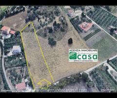 Rif.TA71|Terreno agricolo San Cataldo
