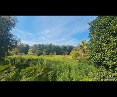 Selinunte prestigiosa villetta vista templi - 25