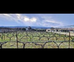 Villetta singola con terreno e serre a San Gerardo - 6