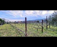 Villetta singola con terreno e serre a San Gerardo - 7