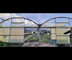 Villetta singola con terreno e serre a San Gerardo - 8