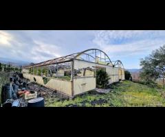 Villetta singola con terreno e serre a San Gerardo - 10