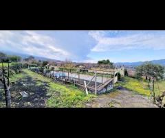 Villetta singola con terreno e serre a San Gerardo - 18