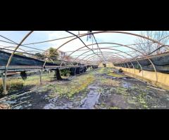 Villetta singola con terreno e serre a San Gerardo - 23