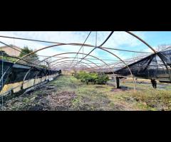 Villetta singola con terreno e serre a San Gerardo - 24