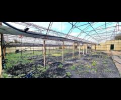 Villetta singola con terreno e serre a San Gerardo - 26