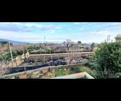 Villetta singola con terreno e serre a San Gerardo - 29