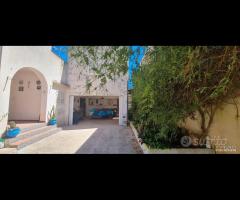 Selinunte villa ind. zona stazione - 10