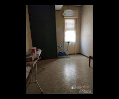 Torrente Trapani, 5 vani con ascensore e posto - 8