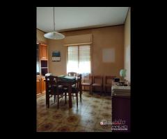 Torrente Trapani, 5 vani con ascensore e posto - 10