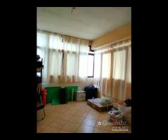 Contesse, appartamento di 115 mq, 4 VANI posto - 10