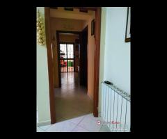 Contesse, appartamento di 115 mq, 4 VANI posto - 13