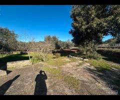 Villetta allo stato rustico - 13