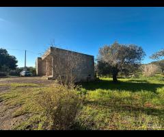 Villetta allo stato rustico - 16