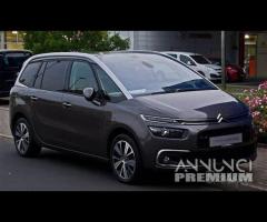 RICAMBI C4 PICASSO 2017
