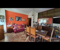 Alì Superiore, rifinito 4 vani arredato - 18