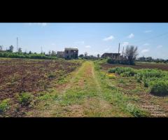 Castelvetrano terreno 27000 mq con fabbricati. r
