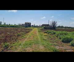 Castelvetrano terreno 27000 mq con fabbricati. r