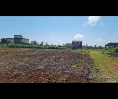 Castelvetrano terreno 27000 mq con fabbricati. r