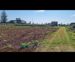Castelvetrano terreno 27000 mq con fabbricati. r