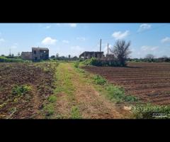 Castelvetrano terreno 27000 mq con fabbricati. r