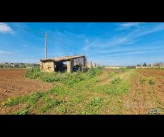 Castelvetrano terreno 27000 mq con fabbricati. r - 6