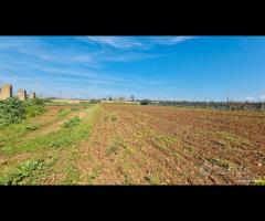 Castelvetrano terreno 27000 mq con fabbricati. r - 7