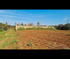 Castelvetrano terreno 27000 mq con fabbricati. r - 8
