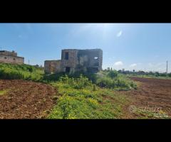 Castelvetrano terreno 27000 mq con fabbricati. r - 10