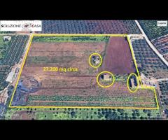 Castelvetrano terreno 27000 mq con fabbricati. r - 15