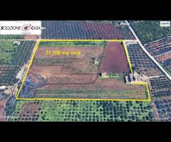 Castelvetrano terreno 27000 mq con fabbricati. r - 16