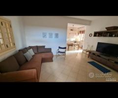 Castelvetrano app. piano 5 in centro - 14