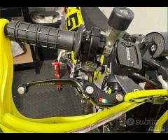 Pitom variante alta 2021 - 6