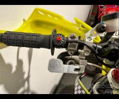 Pitom variante alta 2021 - 8