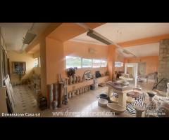 Rif.CP20|Capannone San Cataldo - 17