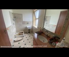 Rif.CP20|Capannone San Cataldo - 19