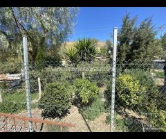 Rif.TA60|Terreno agricolo Serradifalco - 7