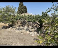 Rif.TA69|Terreno agricolo San Cataldo - 6