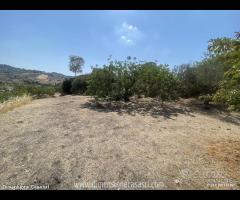 Rif.TA69|Terreno agricolo San Cataldo - 8