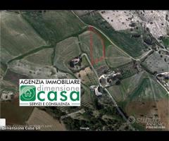 Rif.TA31|Terreno agricolo Caltanissetta