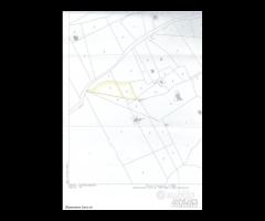 Rif.TA31|Terreno agricolo Caltanissetta