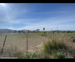 Rif.CS11|Casale San Cataldo - 16