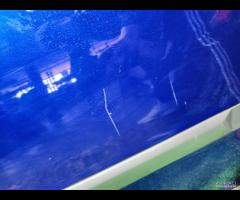 PORTA PORTIERA POSTERIORE DESTRA VOLVO XC90 2002-2 - 6