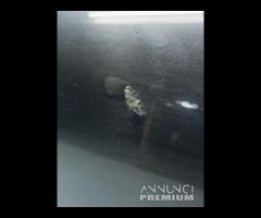 PORTA PORTIERA SPORTELLO POSTERIORE DESTRA JAGUAR - 17