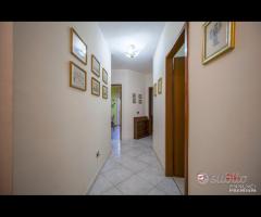 San Giovannello, 4 vani e servizi - 13